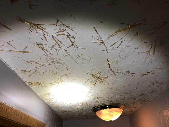 A ceiling covered in straw-like debris, a clear example of construction fails and shoddy workmanship.