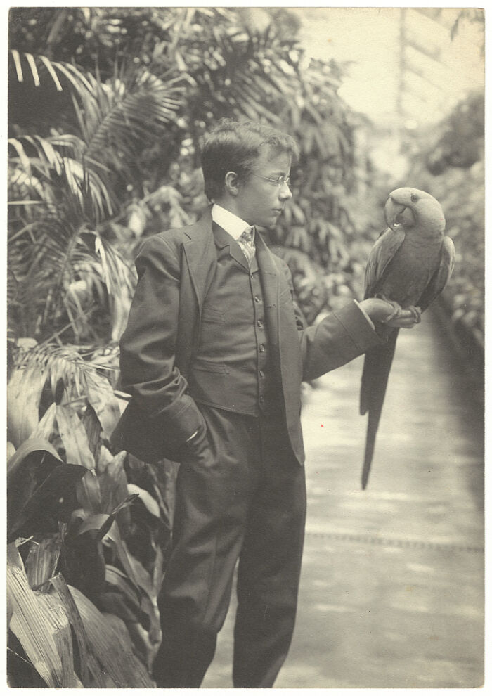 Historical photos: A young boy in a suit holding a parrot on his arm, capturing a past that will remain alive.