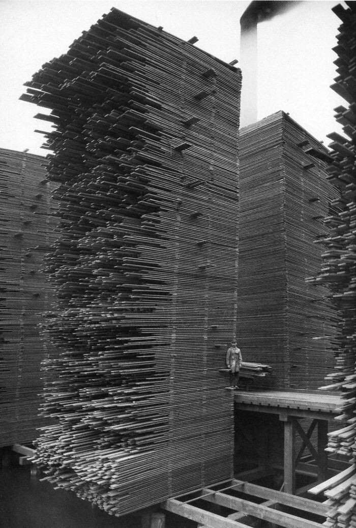 Historical photos: A man standing beside towering stacks of lumber, revealing an industrial past.
