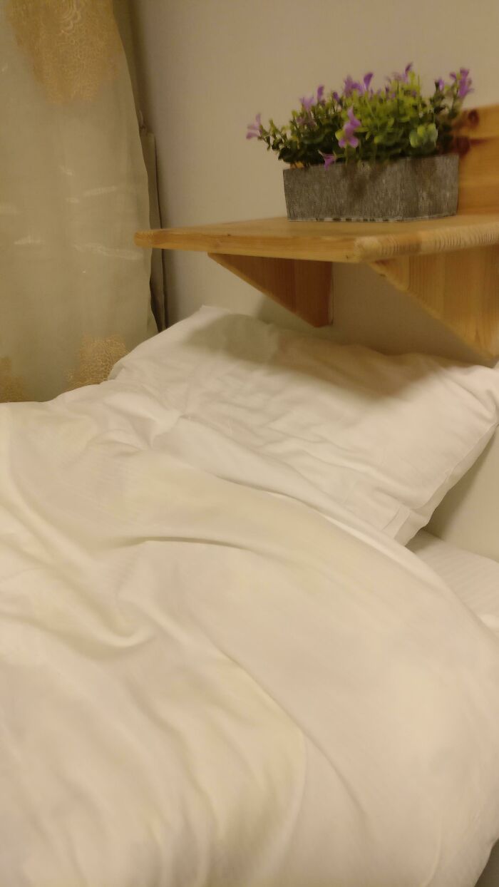A wooden shelf directly over a bed, with a plant, an unsafe construction fail.