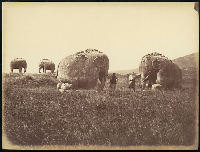 Historical photos: Giant elephant statues with people standing nearby in a grassy field, depicting a past era.