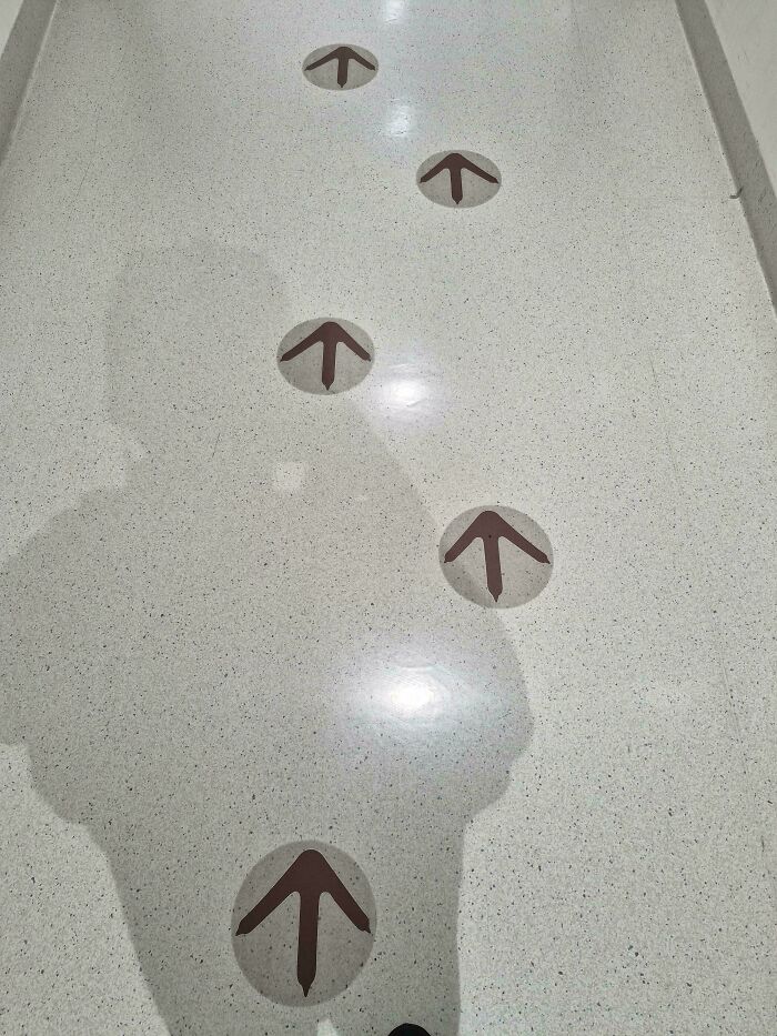 A floor with a construction fail, showing duck footprints with arrows pointing in different directions. Someone gave up.
