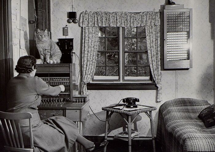 A woman operates a switchboard with a cat on top, next to a window, a historical photo showing a past technology.