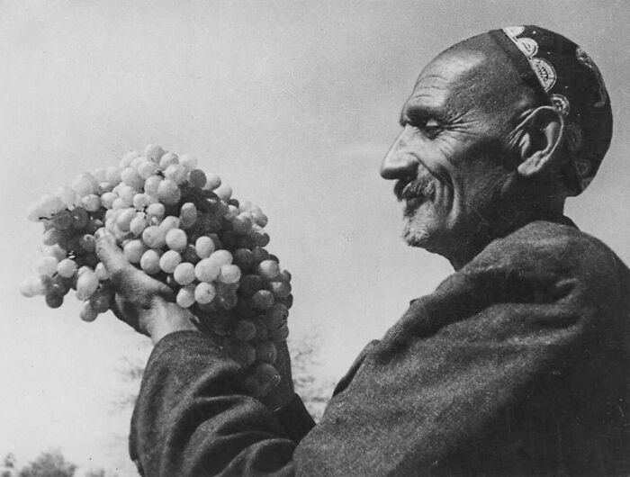 A man with a mustache smiles while holding a large bunch of grapes, a historical photo showing a past moment.
