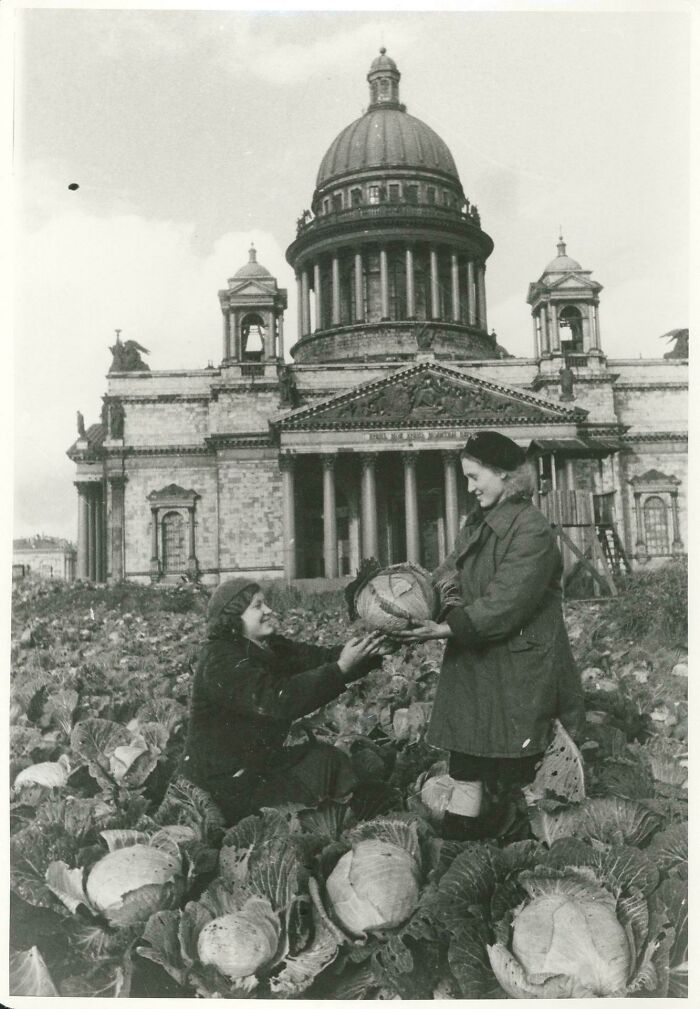 Two women harvest cabbage in a field in front of a large domed building, a historical photo showing a past scene.