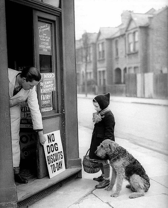 A poignant historical photo of a girl and her dog outside a shop, observing a 'No Dog Biscuits To-Day' sign.