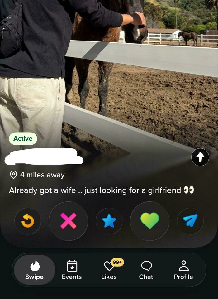 A dating app profile of a toxic man who states he already has a wife but is looking for a girlfriend, making women uncomfortable.