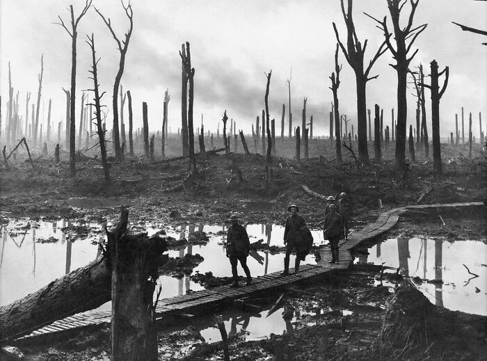 Soldiers walking on a boardwalk through a devastated, muddy landscape with bare trees, a historical photo of a past conflict.