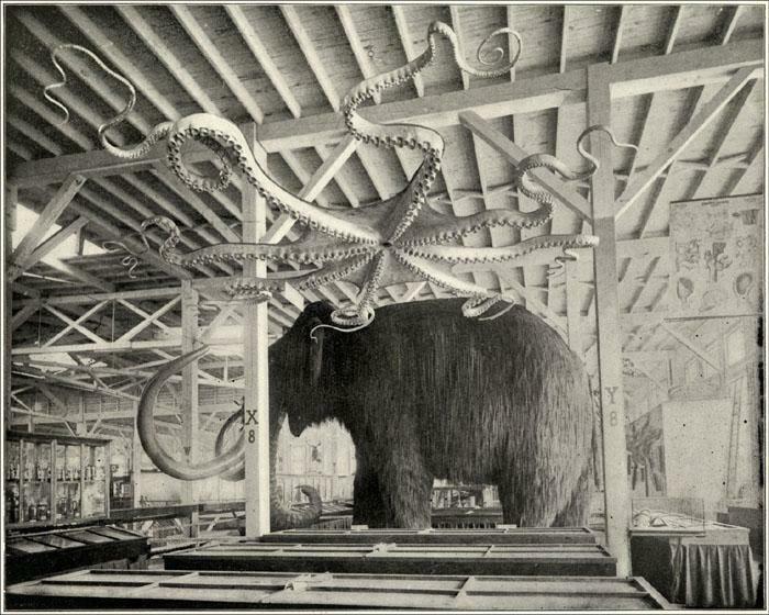 A striking historical photo of a large woolly mammoth exhibit with a giant octopus model overhead in a museum.
