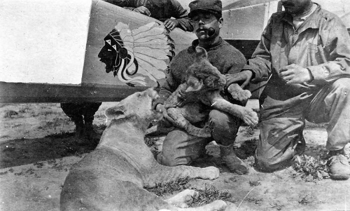 Historical photos: Two men with cougars, one holding a cub, next to an airplane, showing a past that will remain alive.