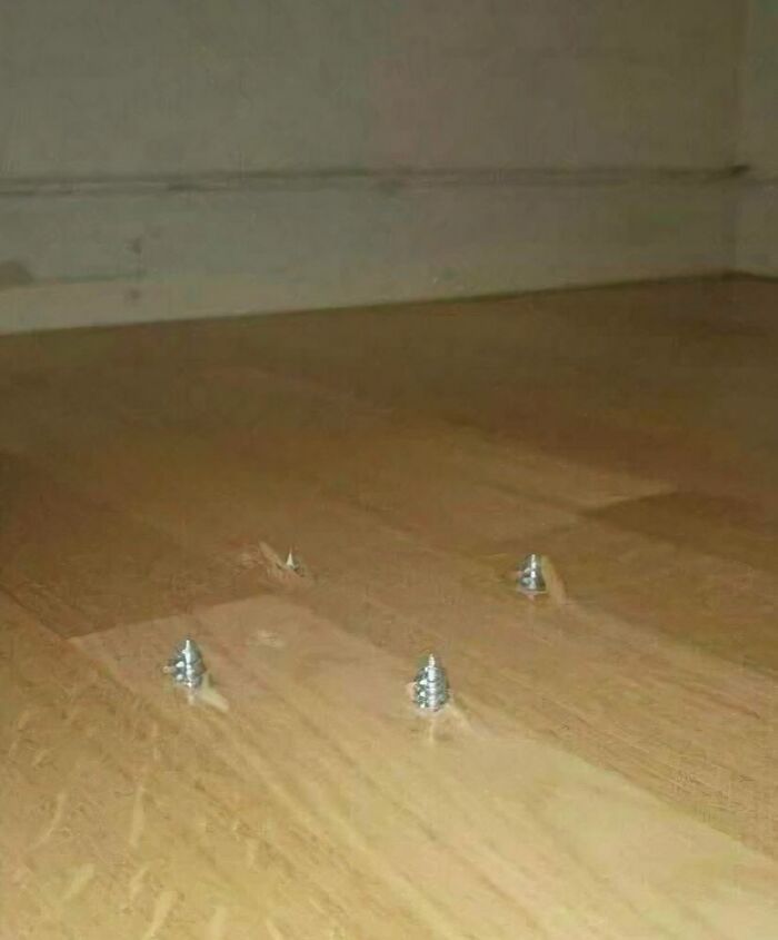 Four screws sticking out of a wooden floor, a clear instance of construction fails in flooring installation.