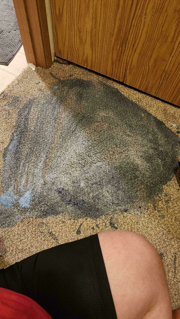 Someone trying to fix things, cleaning a blue spill on a carpet with dark stains.