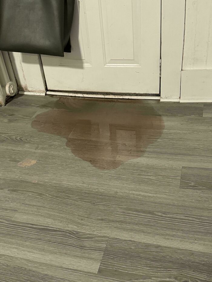Someone trying to fix things, a brown liquid spill on a grey wooden floor near a white door.
