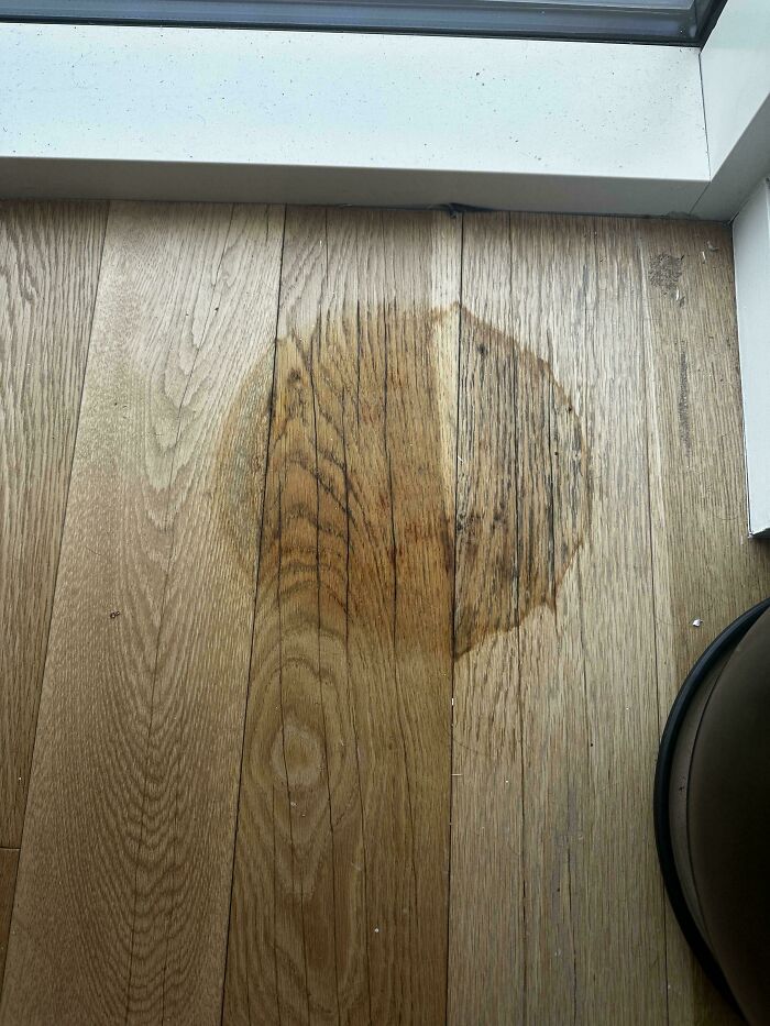 Someone trying to fix things, a large brown stain on a light wooden floor.