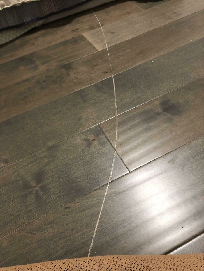 A close-up of a long, thin scratch on dark wood flooring, showing a common problem people ask others for help fixing things.