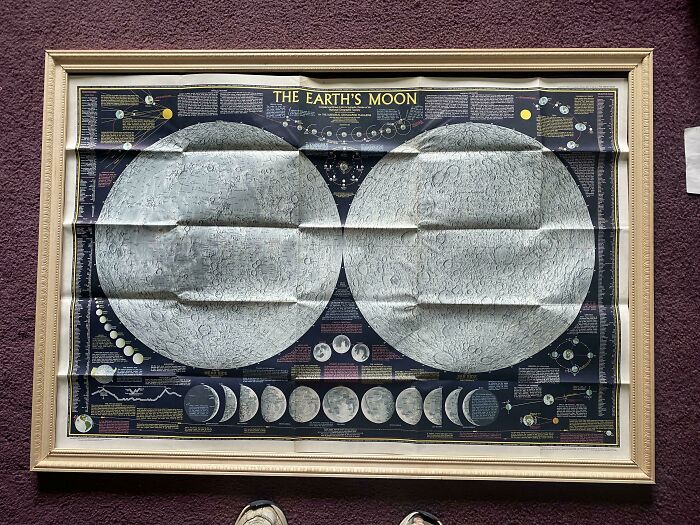 A framed map of The Earth's Moon, detailing its surface and phases. This image shows a problem needing help fixing.