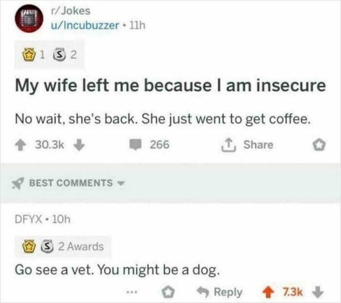 Funny and savage comments section example: a joke about a wife leaving, with a savage comment suggesting the original poster is a dog.