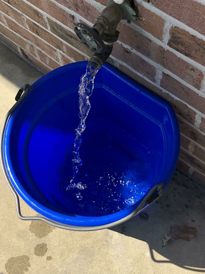 Water being poured into a blue bucket from a faucet, an ordinary thing brilliantly transformed.