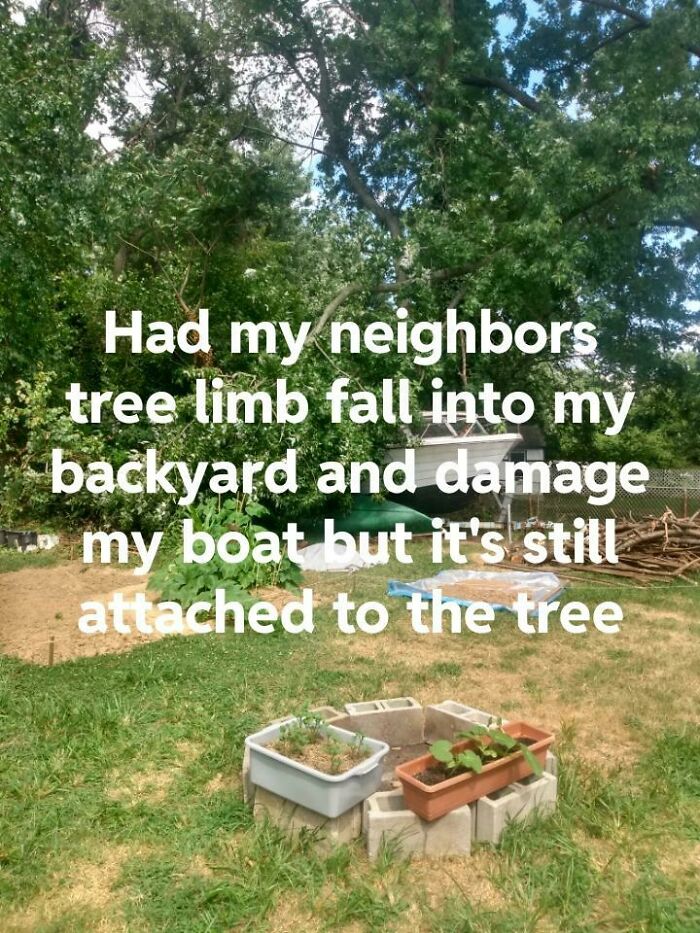 A tree limb falling on a boat, making for a way worse day.