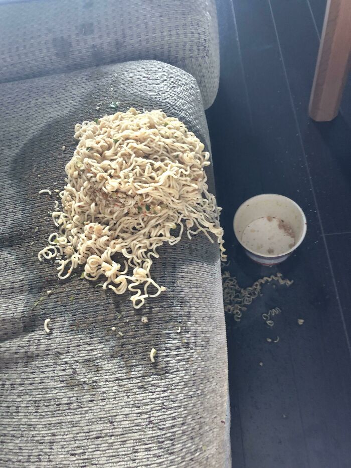 Spilled ramen noodles all over a couch, a moment from 87 People Who Are Having A Way Worse Day Than You.