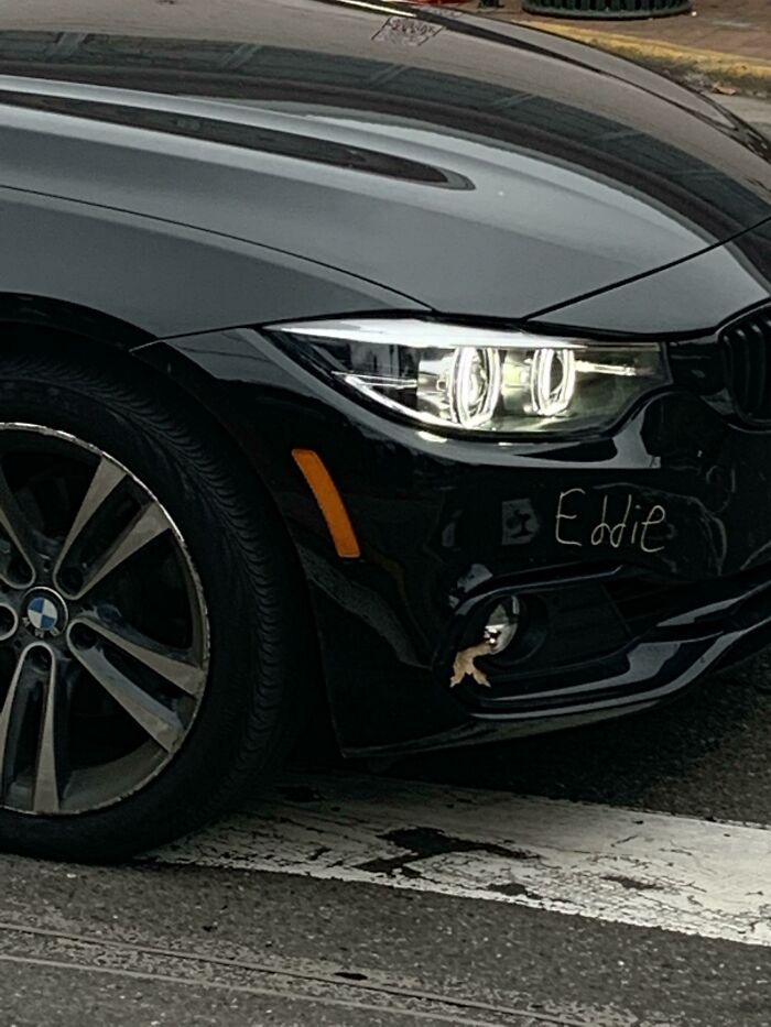 The front of a black BMW with the name Eddie scratched into the bumper and a small animal stuck in the grille.