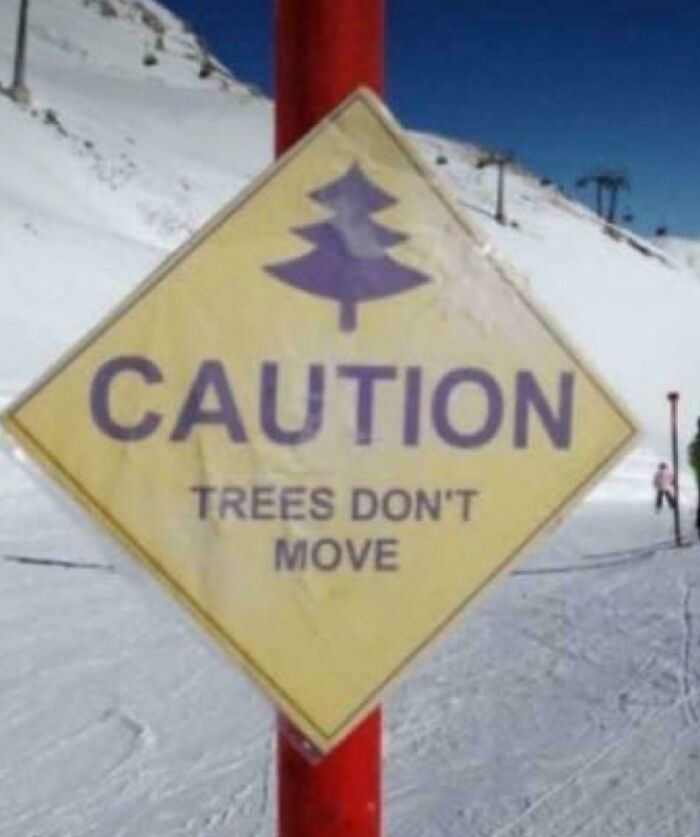 A funny sign for skiers says Caution: Trees Don't Move, an example of a hilariously failed sign.