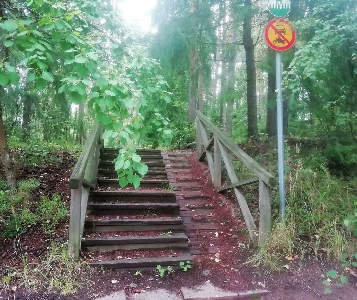 A no-vehicles sign on a forest path with stairs, a hilariously failed sign for the road.