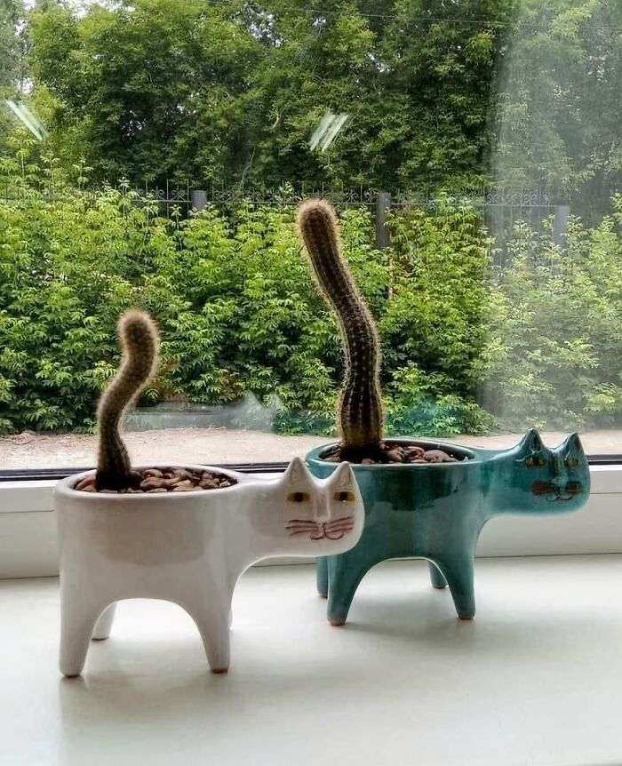 Two cat-shaped planters holding cacti, demonstrating how designers transformed ordinary things.
