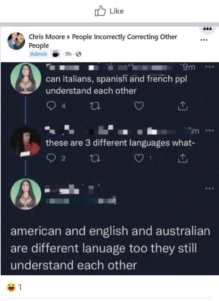 Satisfying correction online: a user asks if different language speakers can understand each other, corrected by another user differentiating dialects.