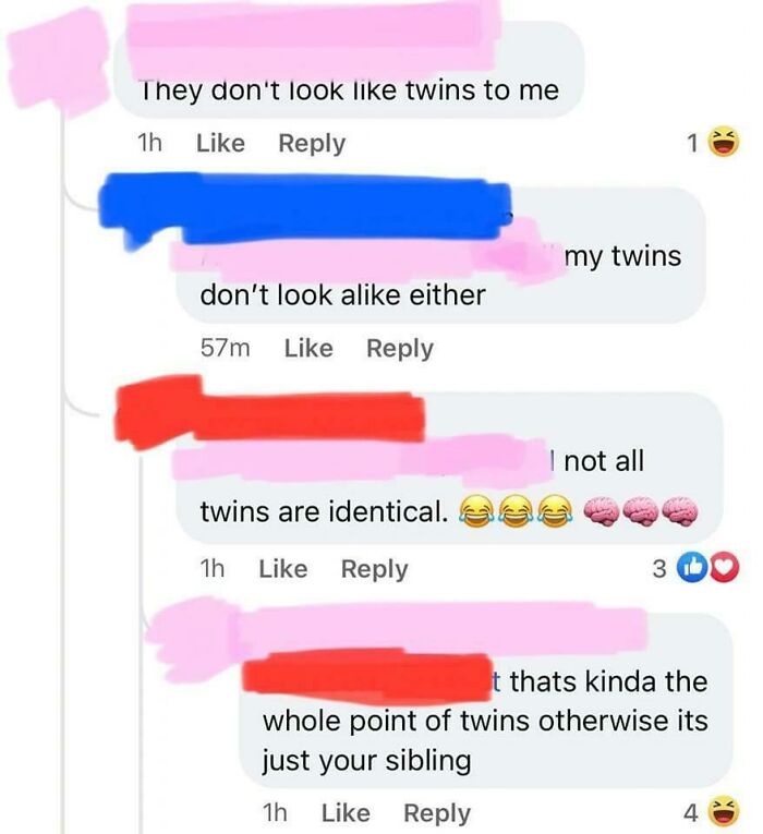 A social media conversation where a user is corrected online about not all twins looking alike, highlighting the satisfaction of correcting someone.
