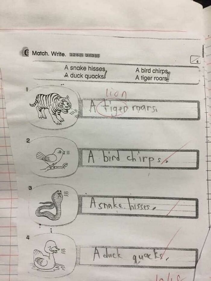 People had the pleasure of correcting someone online on a quiz about animal sounds.