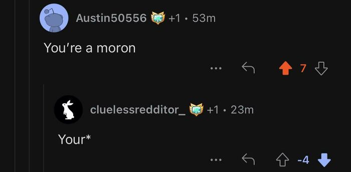 A Reddit screenshot showing someone correcting someone online with the spelling of Your instead of You're.