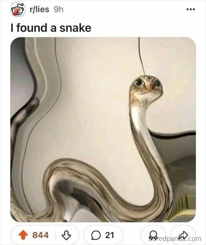 A distorted image of a cat resembling a snake, a painfully cringe post from r/lies.