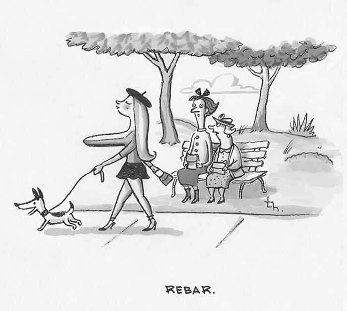 A woman with long hair and a dog walks past two women on a bench, a sharp humor single-panel cartoon by Tim Haggerty.