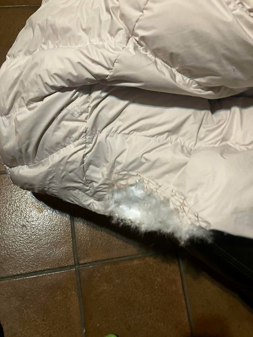 An expensive mistake of a ripped down jacket, feathers spilling out onto a tiled floor.