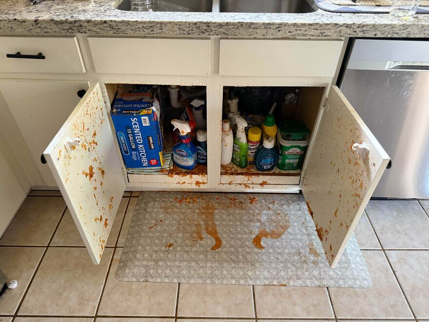 An expensive mistake: Kitchen cabinet interior and floor covered in spilled spaghetti sauce. A major accident.
