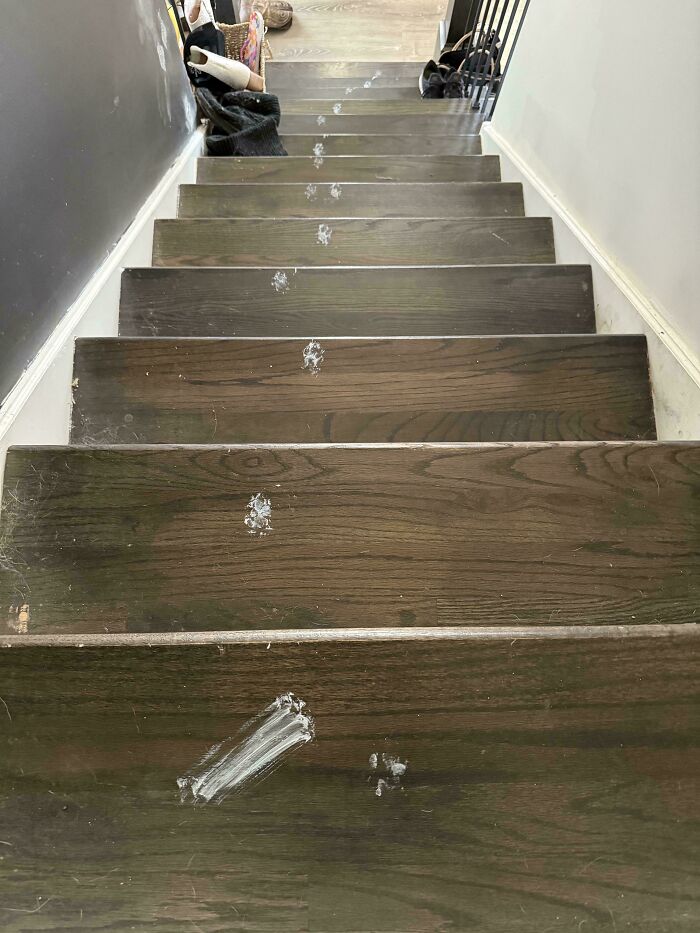 El gato saltó a la bandeja de pintura y luego salió corriendo por las escaleras