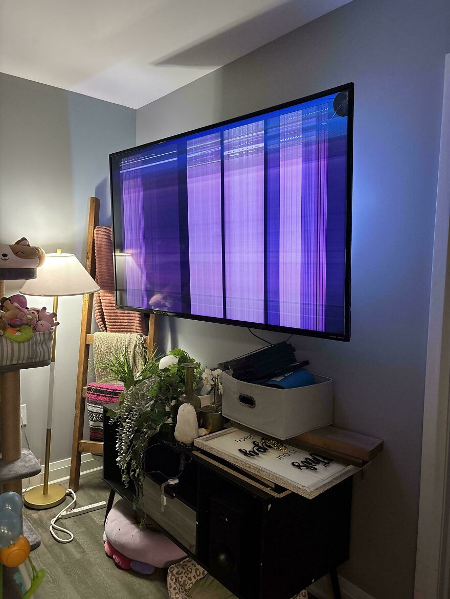 A broken wall-mounted television displaying purple vertical lines, an expensive mistake that is not my problem.