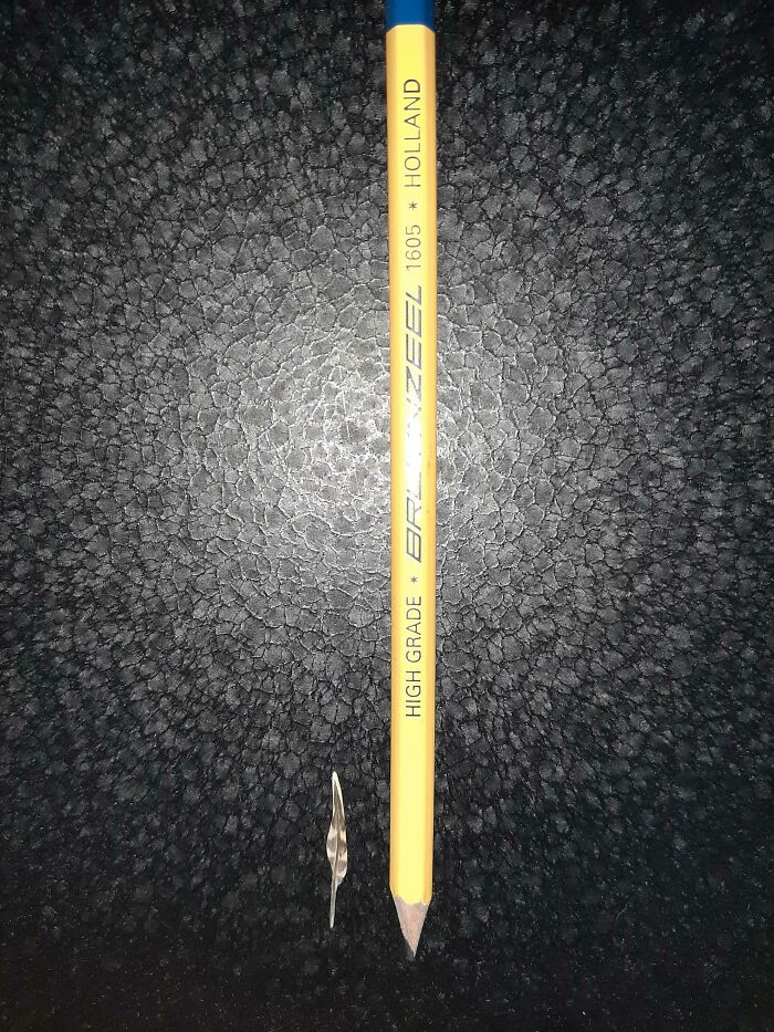 A tiny, thin feather is placed next to a standard yellow pencil, emphasizing the size comparisons of the feather.