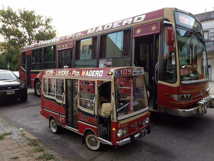 A small, custom-built replica bus is parked in front of a full-sized city bus, highlighting the size comparisons.