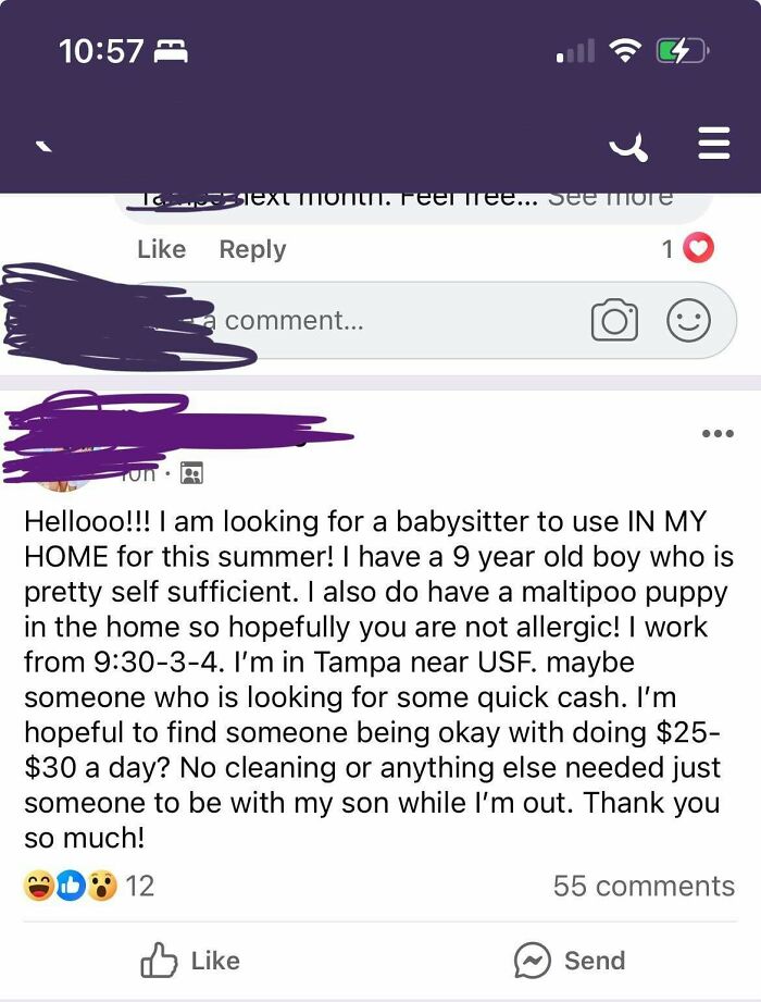 Delusional parents seek a babysitter for a 9-year-old and a puppy for $25-30 a day, calling it quick cash.