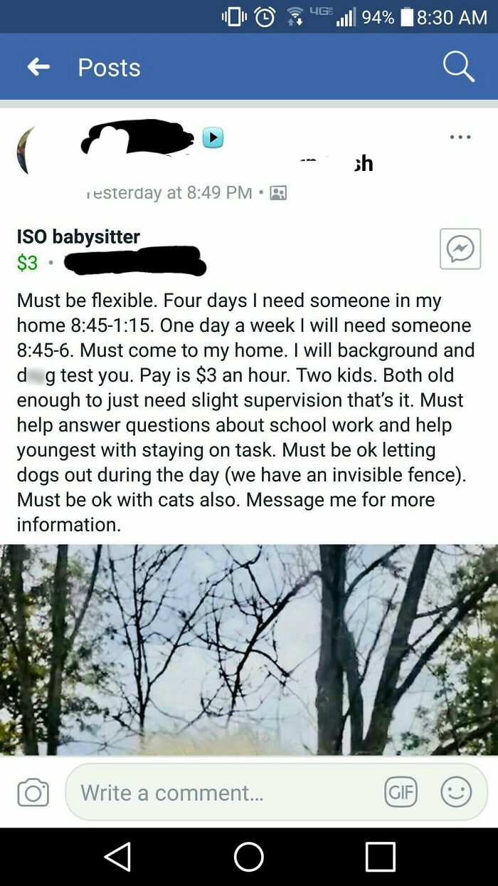 A Facebook post looking for a babysitter, offering 3 an hour for two kids and pets, depicting delusional parents.
