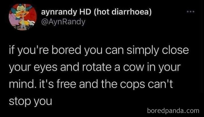 A screenshot of an oddly specific post on AynRandy HD about rotating a cow in your mind when bored.