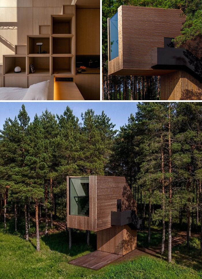 A modern wooden cabin nestled in a forest with a unique, elevated design, highlighting brilliant design choices.