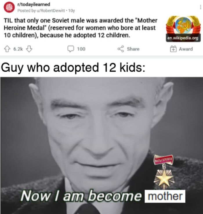 A history meme about a Soviet man adopting 12 children to receive a Mother Heroine Medal, humorously misinterpreting history.