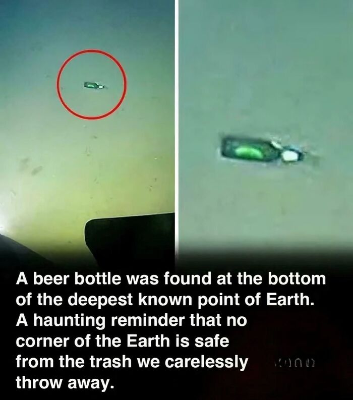 A beer bottle at the bottom of the ocean, emphasizing the impact of consumerism.