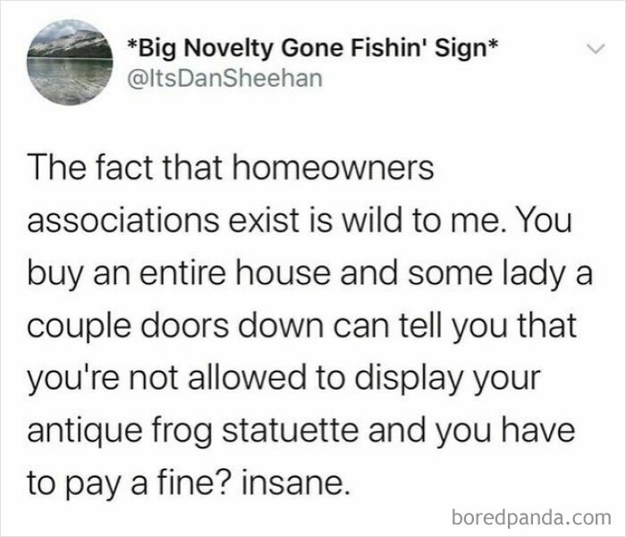 An oddly specific post questioning homeowners associations restricting an antique frog statuette.