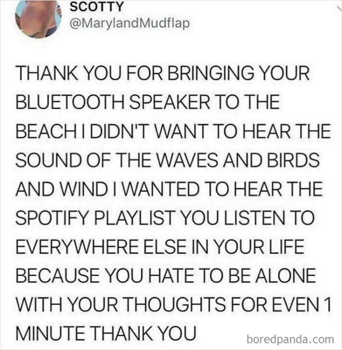 An oddly specific post expressing sarcastic gratitude for a loud Bluetooth speaker ruining a beach's natural sounds.