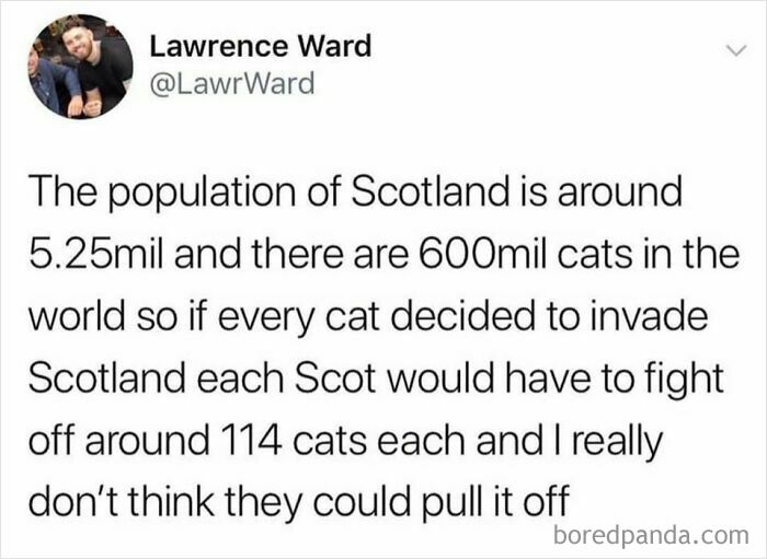 An oddly specific post discussing cats invading Scotland, with each Scot fighting 114 cats.