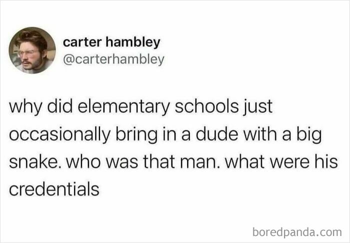An oddly specific post by Carter Hambley on Twitter about men bringing big snakes to elementary schools.